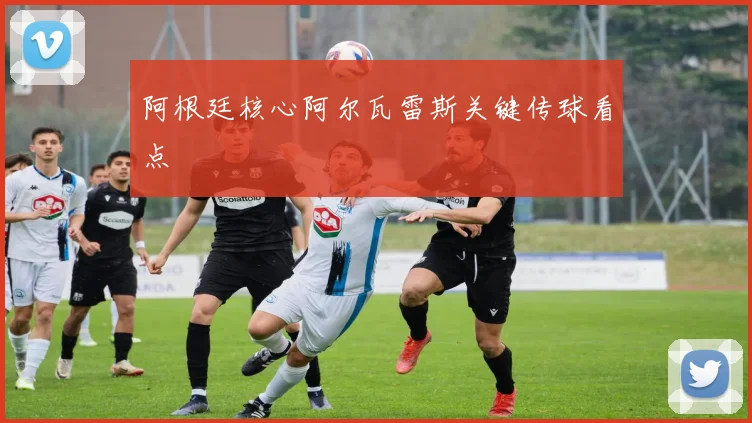 阿根廷核心阿尔瓦雷斯关键传球看点