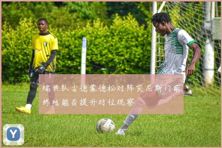 瑞典队古德蒙德松对阵突尼斯门前终结能否提升对位观察